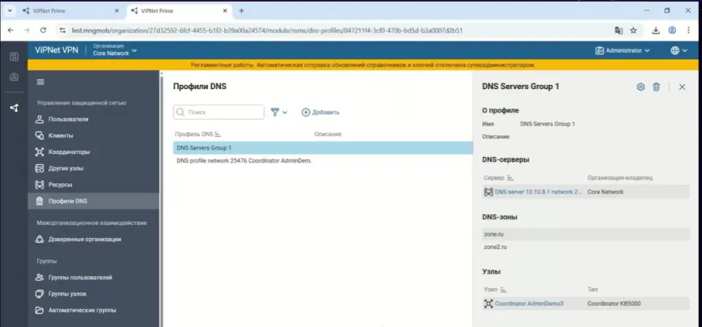 Содержимое профиля DNS в интерфейсе ViPNet Prime