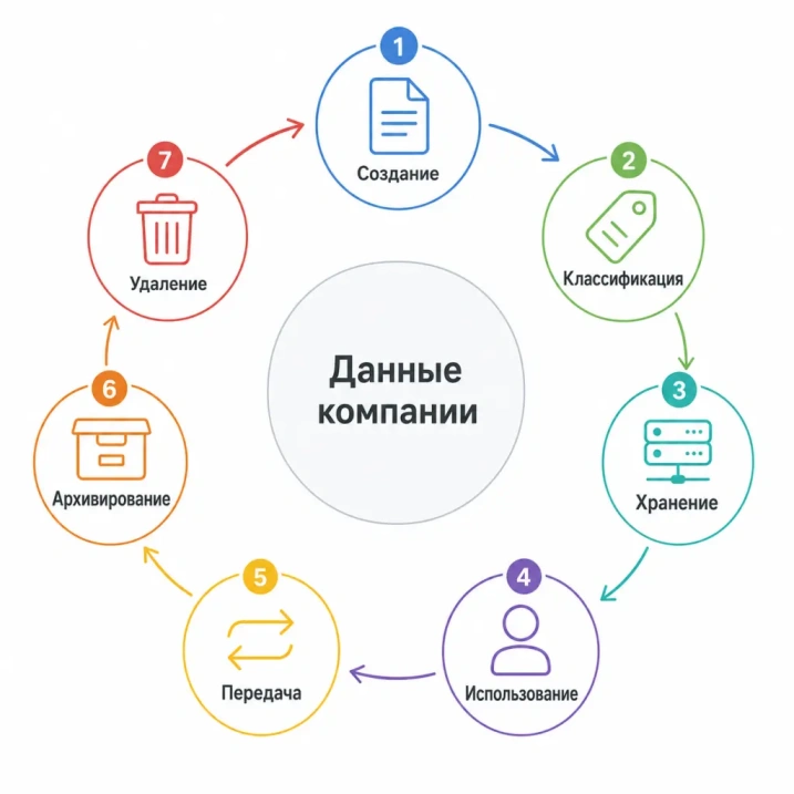 Круговая схема из семи этапов: создание, классификация, хранение, использование, передача, архивирование и удаление данных.