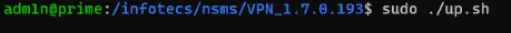 Запуск скрипта включения VPN-модуля.