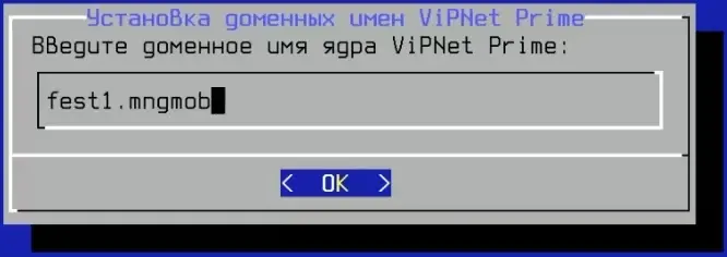 Ввод доменного имени